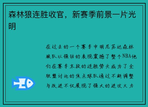 森林狼连胜收官，新赛季前景一片光明